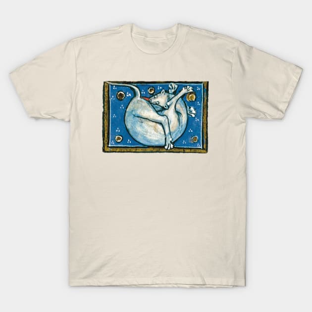 Medieval Cat T-Shirt by starwilliams